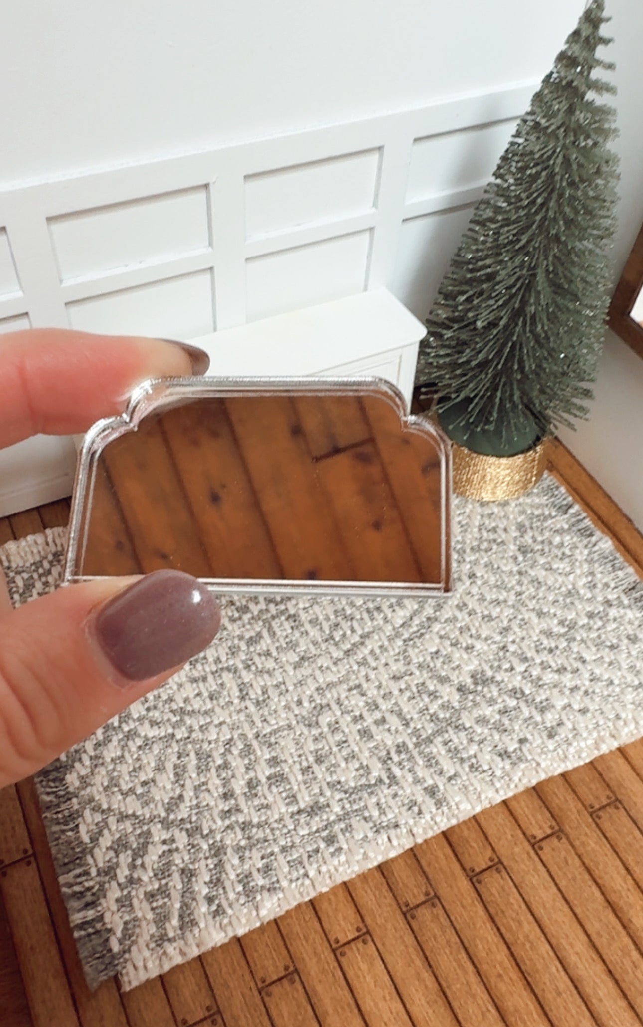 1:24 Scale Curved Mirror