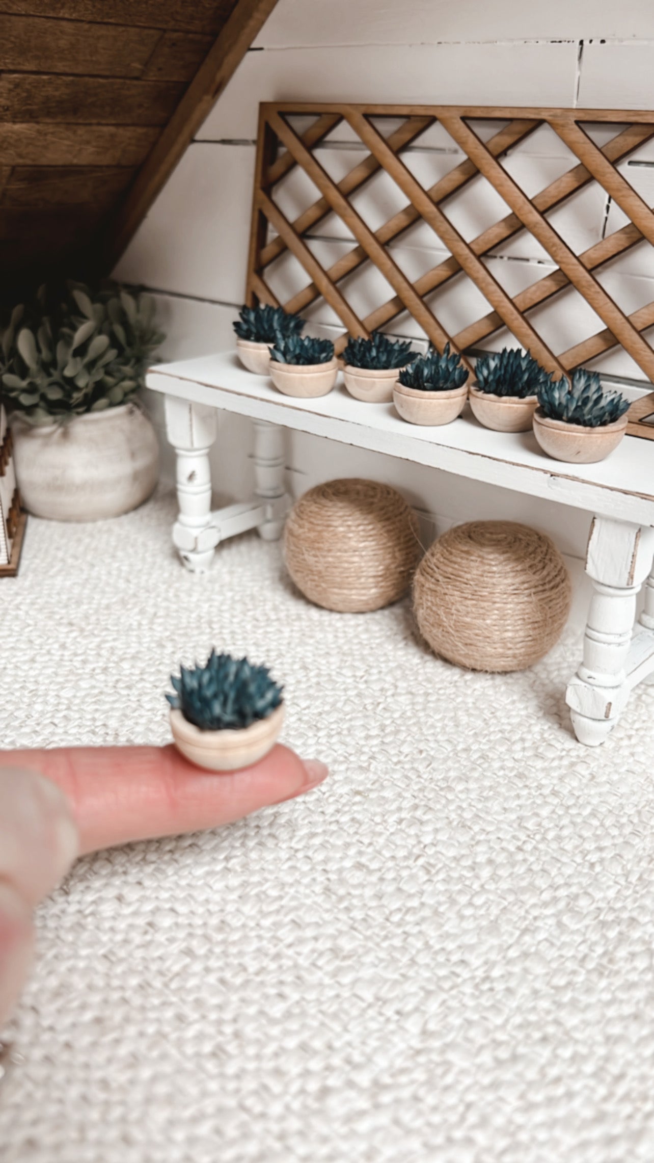 Blue Succulent Bowl