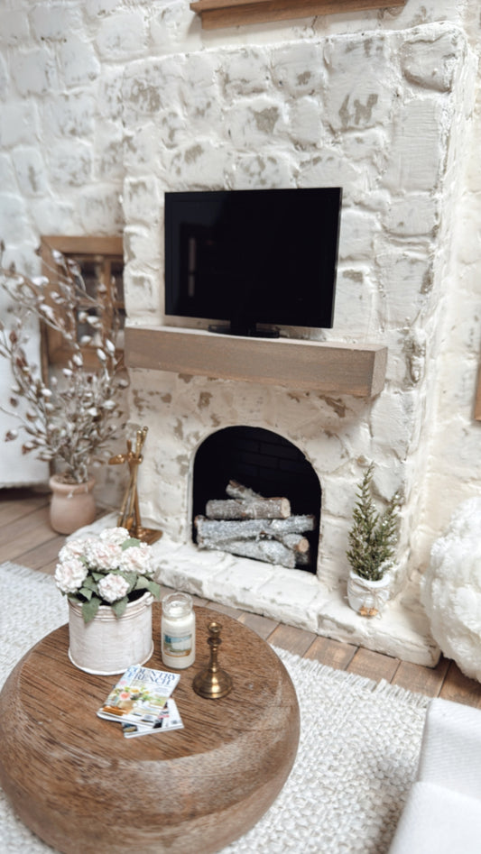 Dollhouse TV